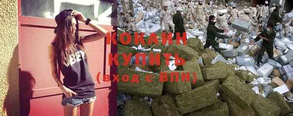 крисы Ельня