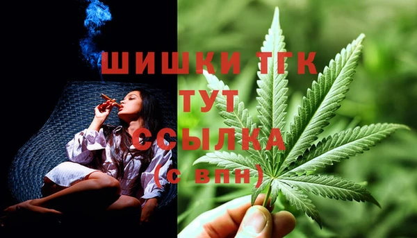 прущий лед Аша