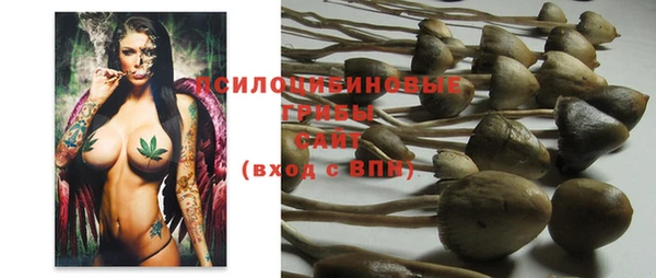 прущий лед Аша