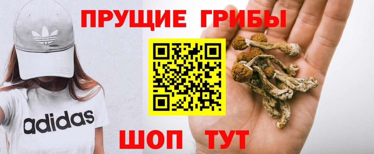 Кандалакша  Псилоцибиновые грибы Psilocybine cubensis  Галлюциногенные грибы MAGIC MUSHROOMS  Вход с VPN 